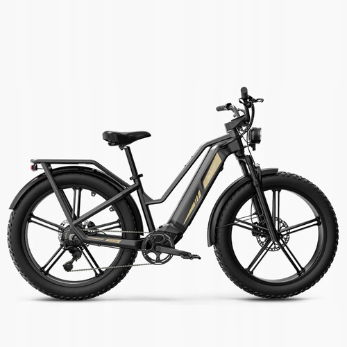 Motorower elektryczny powyżej 251 W Fiido Titan aluminium 26 " szary 750 W